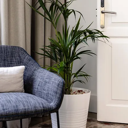 The Park By Ires Lar Appartement Santa Cruz de Tenerife