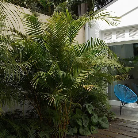 The Park By Ires Lar Apartmán Santa Cruz de Tenerife